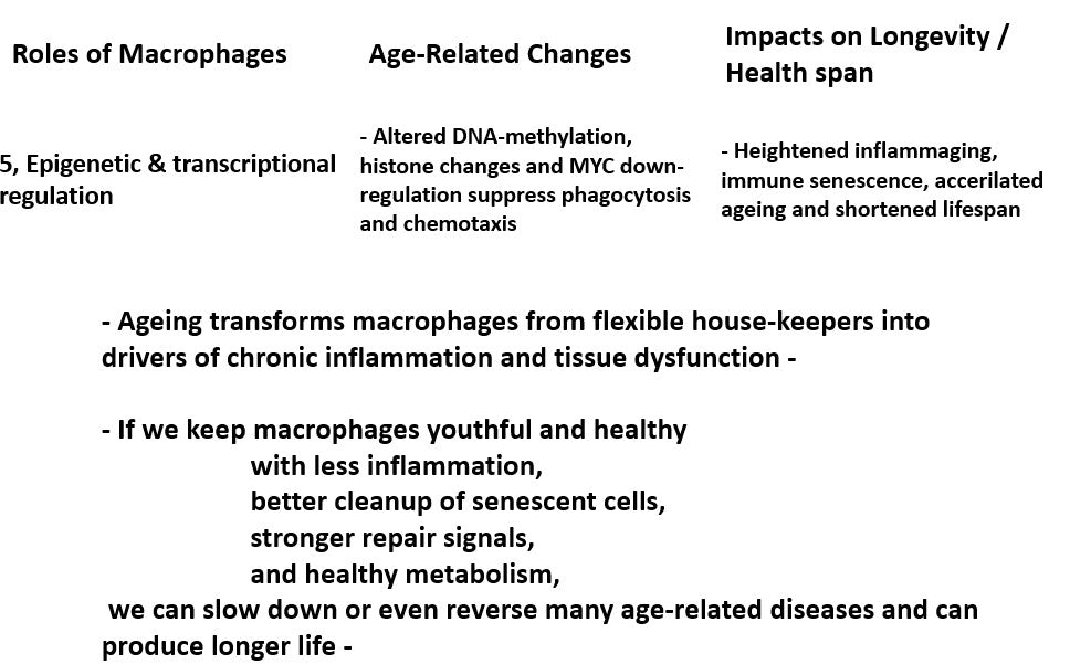 How innate immunity – especially macrophages – links to longevity?