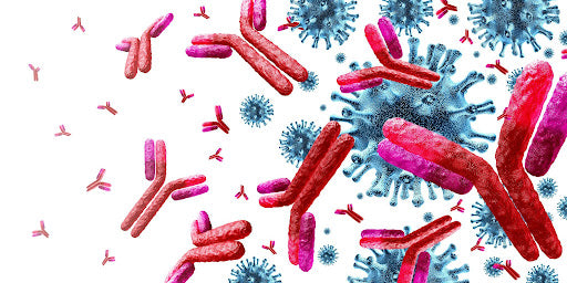 Examples of immunocompromised conditions